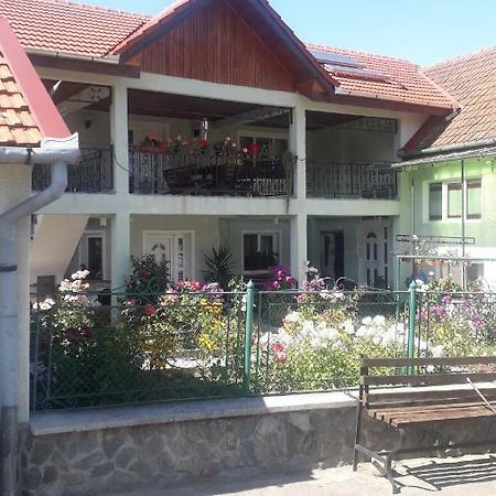 Casa Maria Retezat Konuk evi Nucsoara  Dış mekan fotoğraf