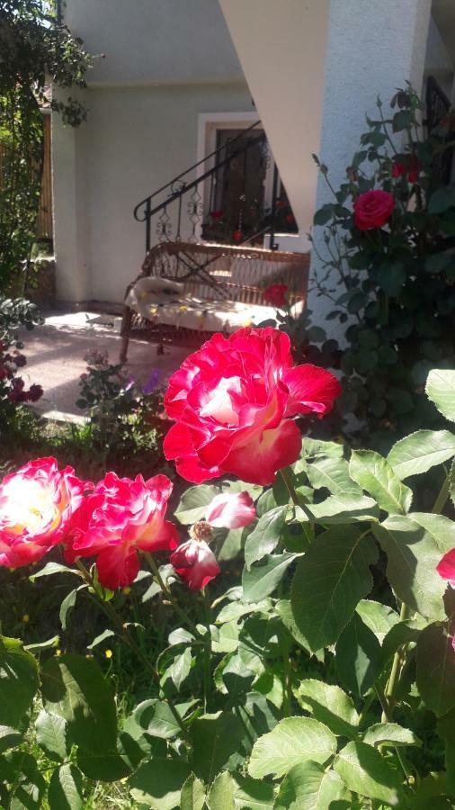 Casa Maria Retezat Konuk evi Nucsoara  Dış mekan fotoğraf